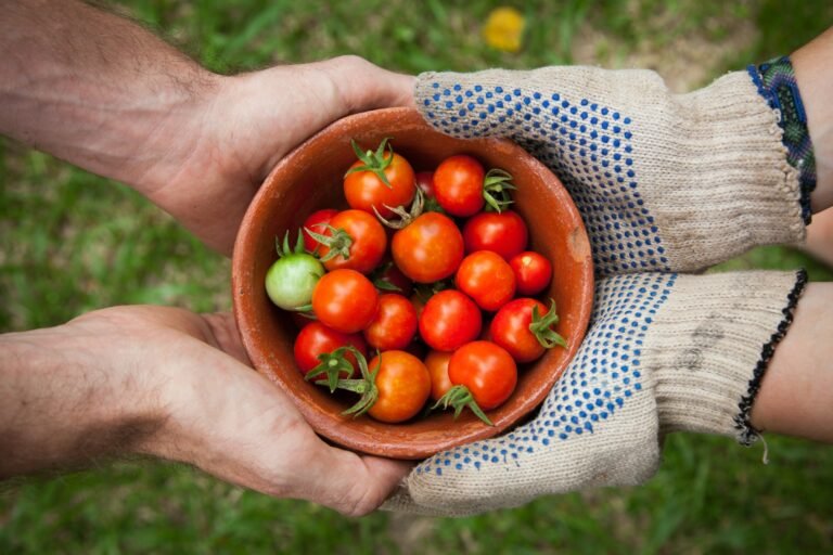Organic Food Labels