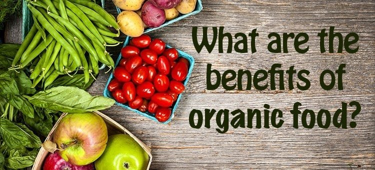 Organic Food More Nutritious