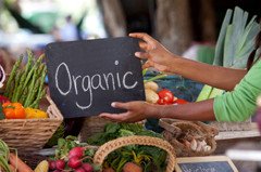 Organic Food More Nutritious