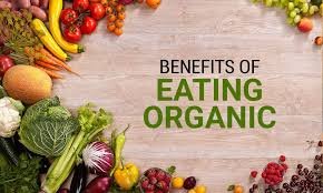 how to check organic certification online in India