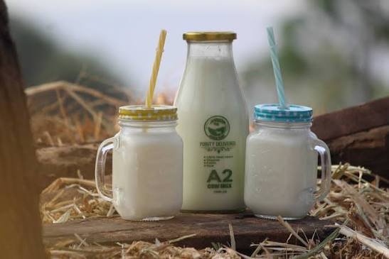 Organic Milk vs A2 Milk