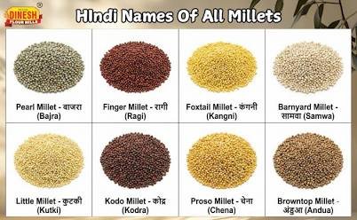 best organic millets for Indian kitchen
