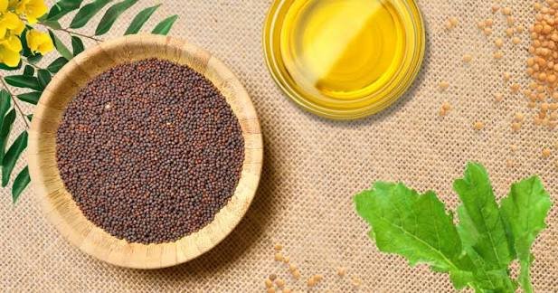 cold pressed mustard oil vs filtered mustard oil