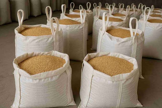 how to store organic grains without insects