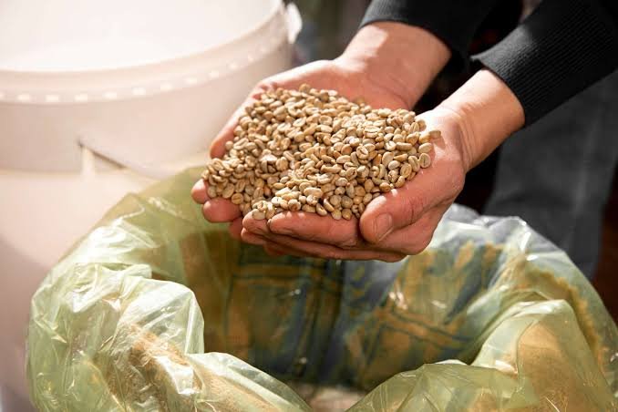 how to store organic grains without insects