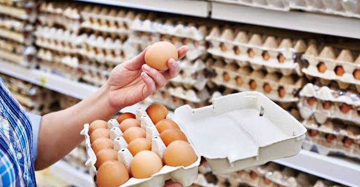 organic eggs vs free-range eggs India