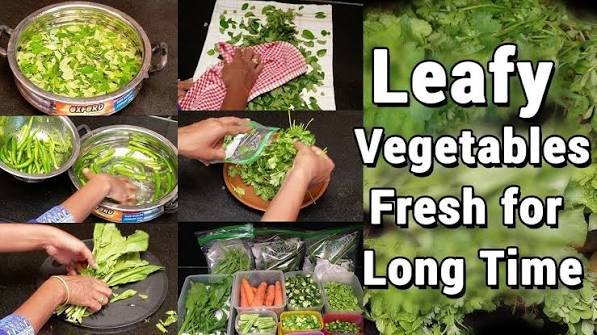 how to store organic leafy vegetables