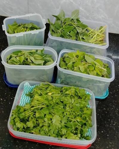 how to store organic leafy vegetables